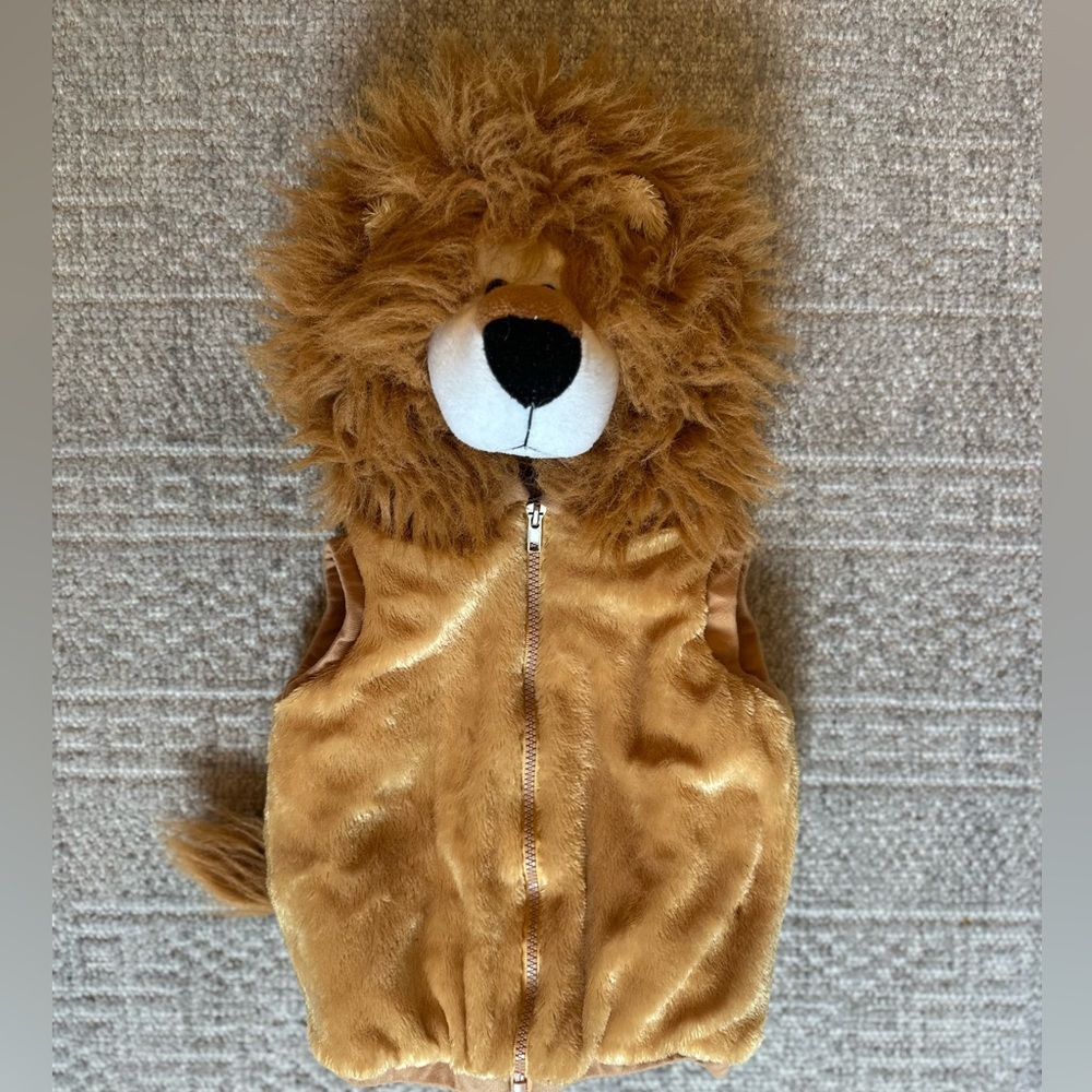 Chrisha lion costume size 18 to 36 months.  VGUC